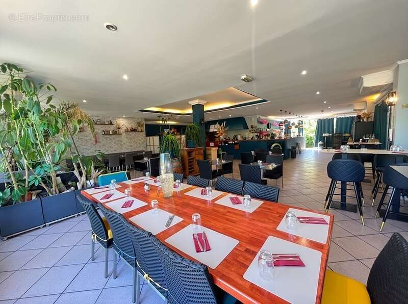 Commerce à SAINT-JEAN-DE-VEDAS