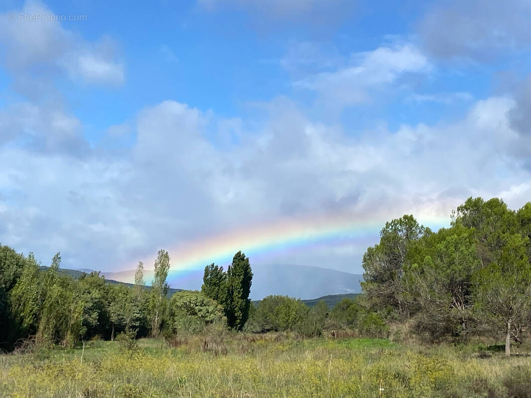 Terrain à MAS-DE-LONDRES