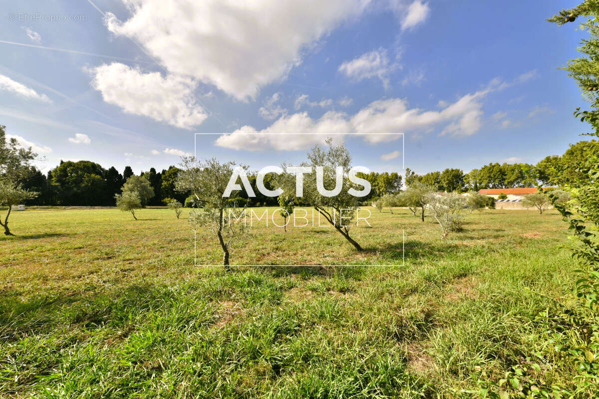 295 m² à Grans  - photo 3