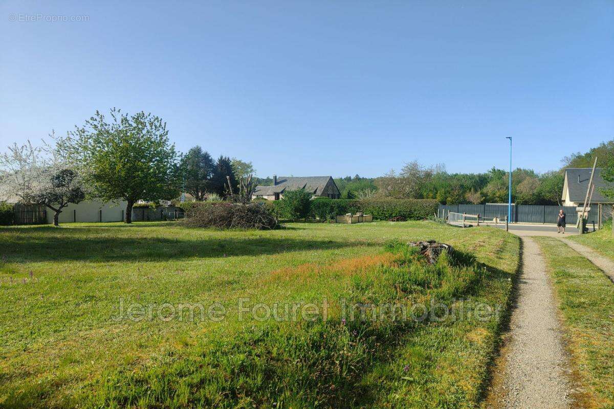 vente terrain - photo 5