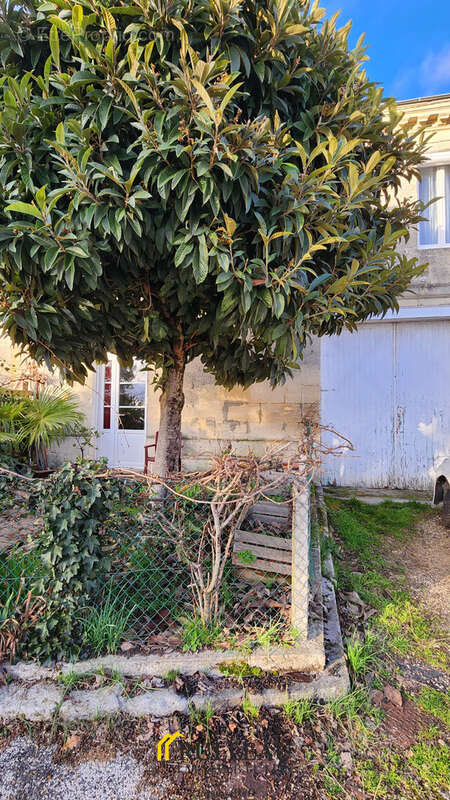 Maison à BOURG