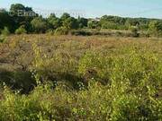 Terrain à CLERMONT-L&#039;HERAULT