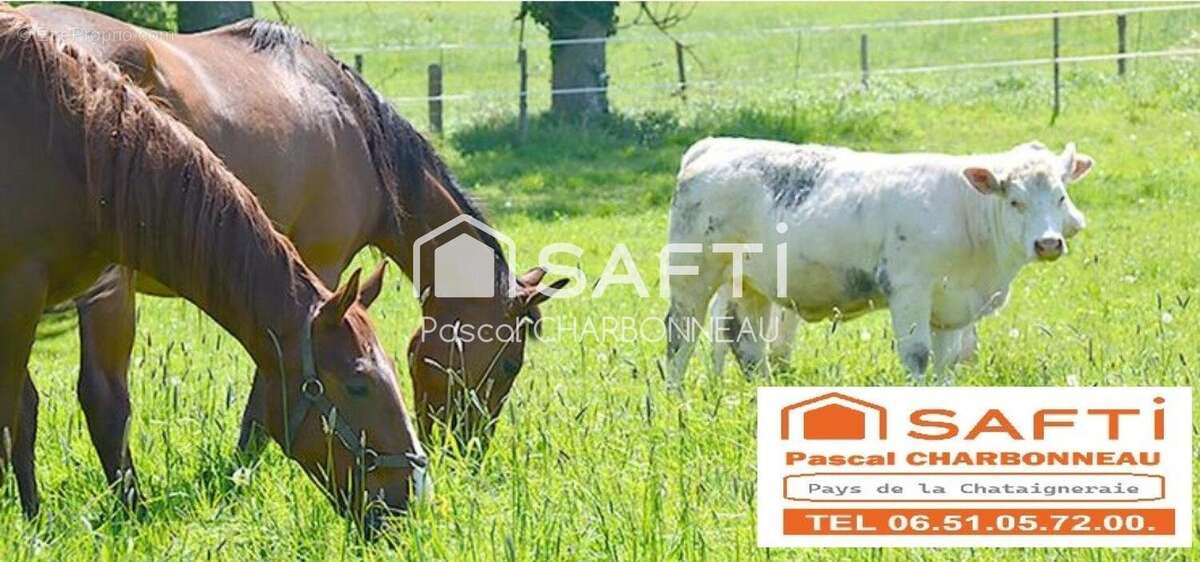 Photo 2 - Maison à POUZAUGES