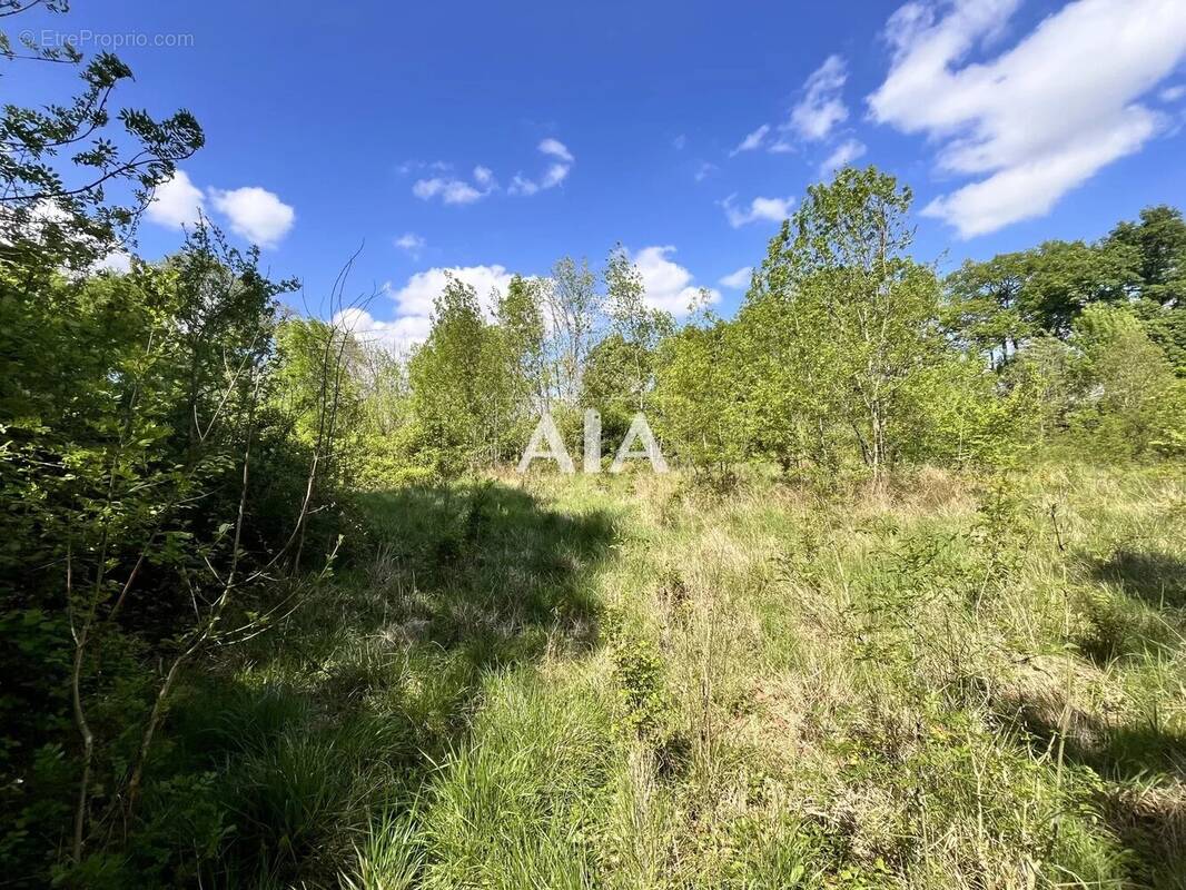 Terrain à PUYREAUX