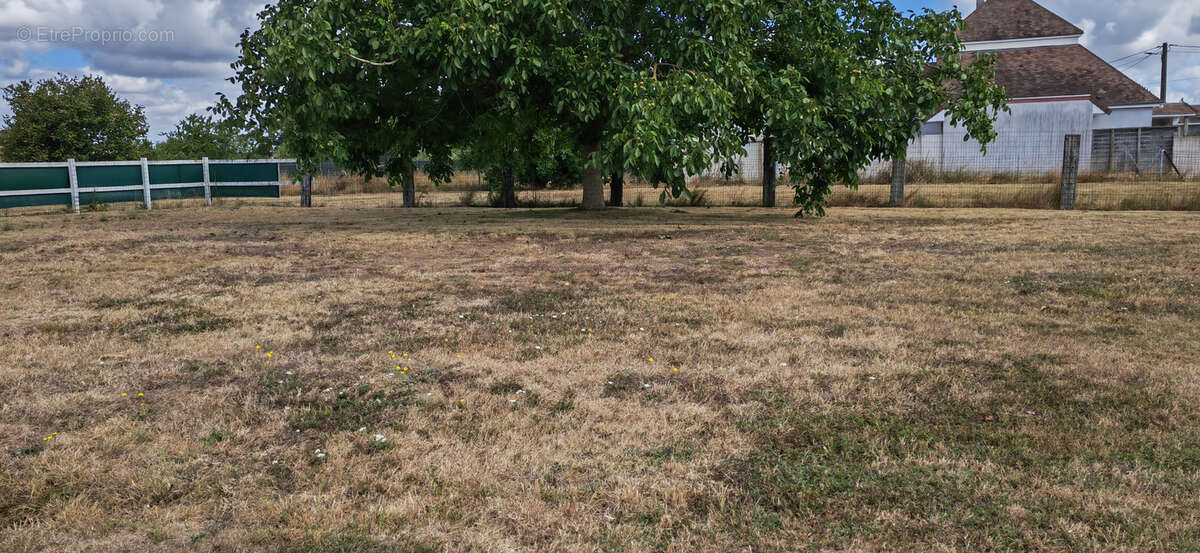 Exclusivite rare  maison t6  atypique de plain pied  secteur mezidon canon - photo 24