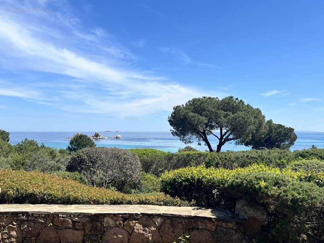 Maison à PORTO-VECCHIO