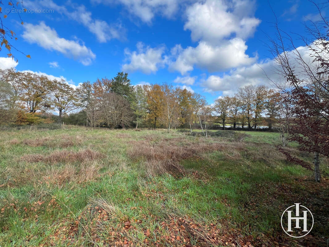 Maison à SAINT-CHRISTOPHE-LE-CHAUDRY