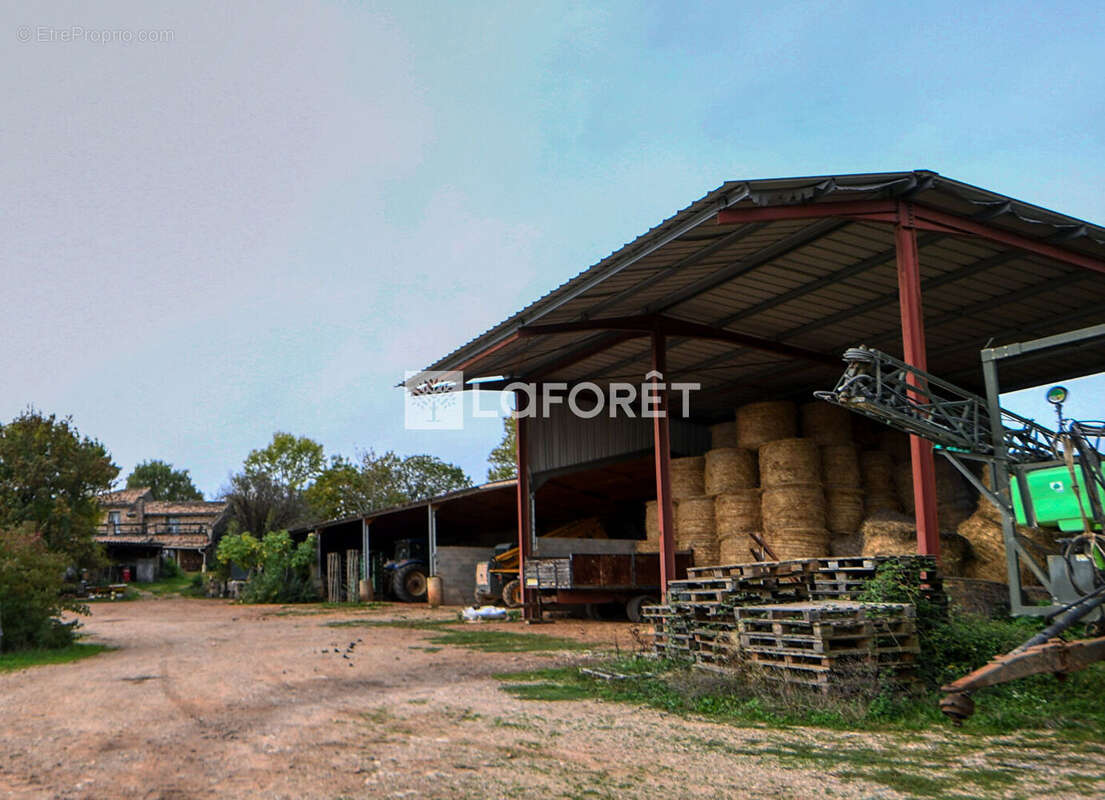 Maison à CASTELNAU-DE-MONTMIRAL
