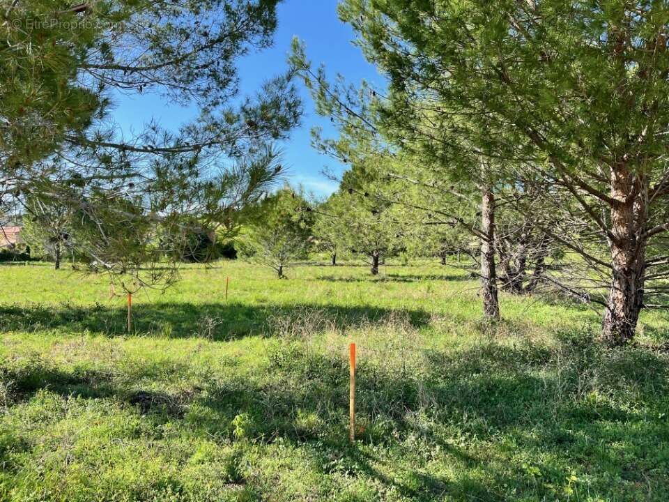 Terrain à CAROMB