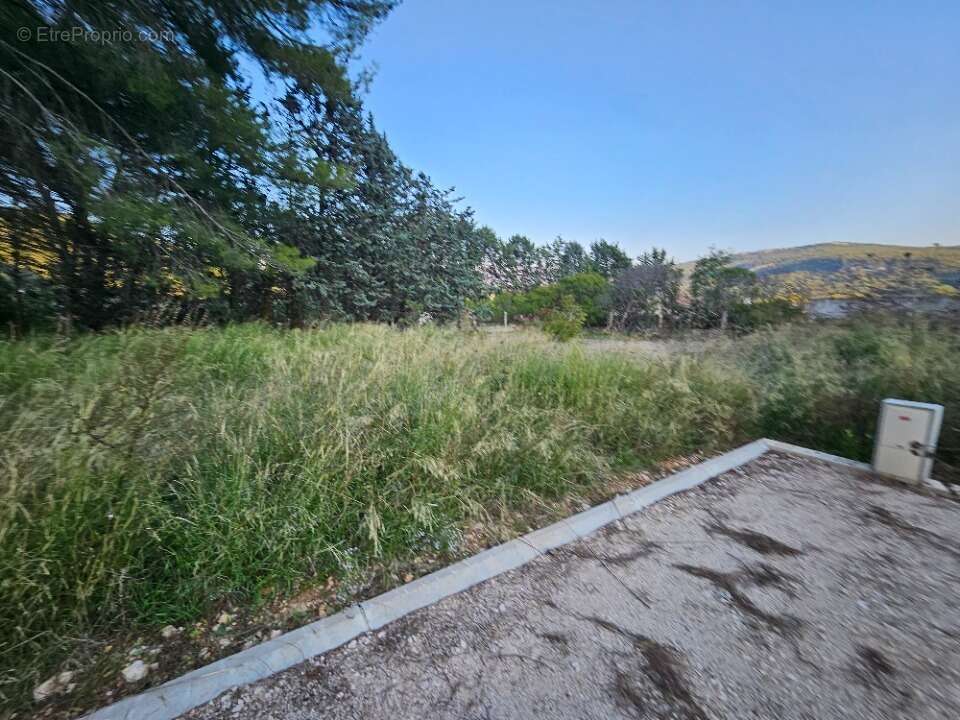 Terrain à CUGES-LES-PINS