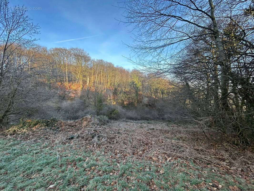 Terrain à SOURDEVAL