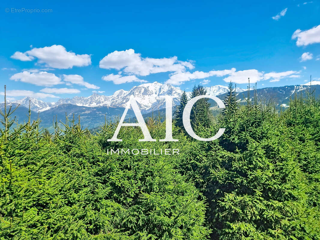 Sous-offre / bel appartement en rdj avec vue mont blanc - photo 15