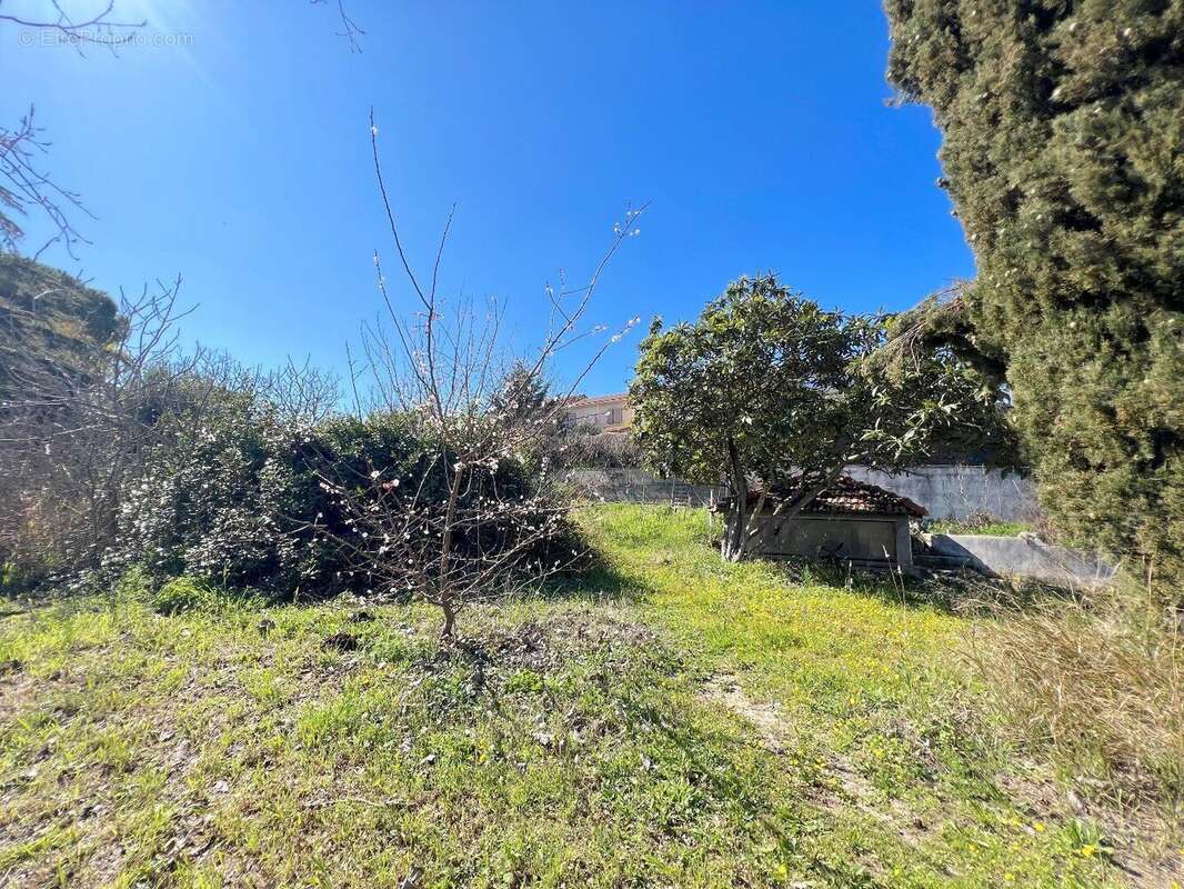 Photo 2 - Maison à PEZENAS