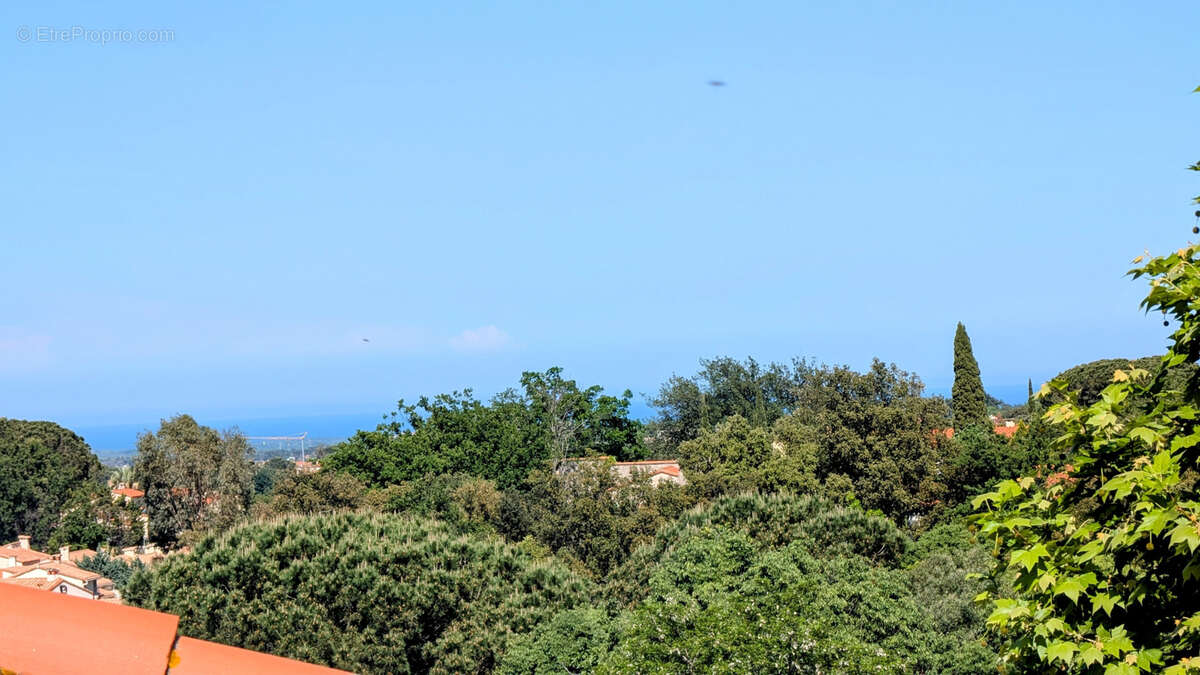 Maison à LAROQUE-DES-ALBERES