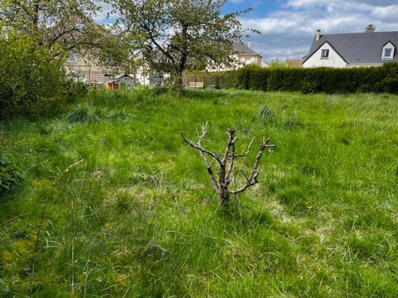 Terrain à SAINVILLE