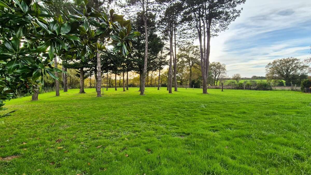 Maison à MAREUIL-SUR-LAY-DISSAIS