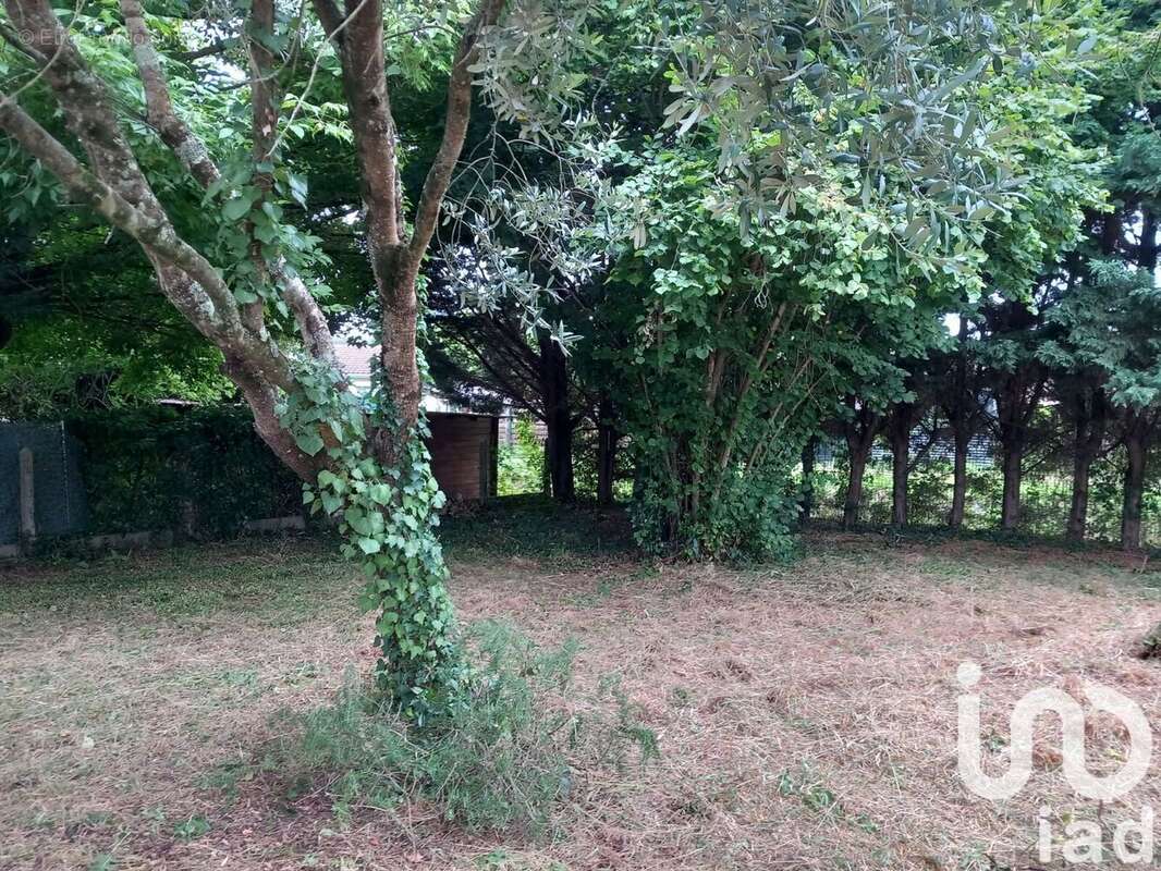 Photo 4 - Terrain à VILLENAVE-D&#039;ORNON