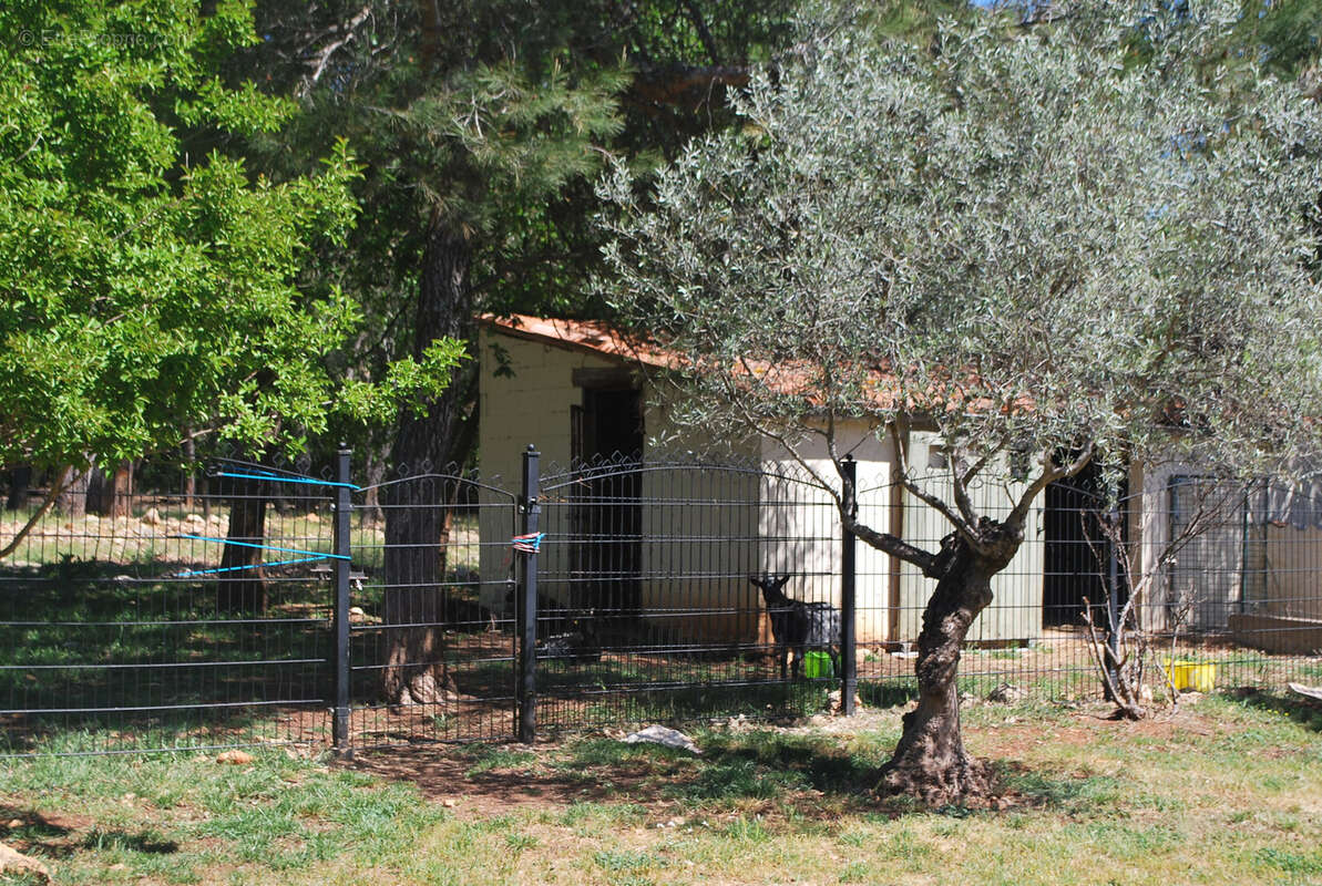 Maison à COTIGNAC