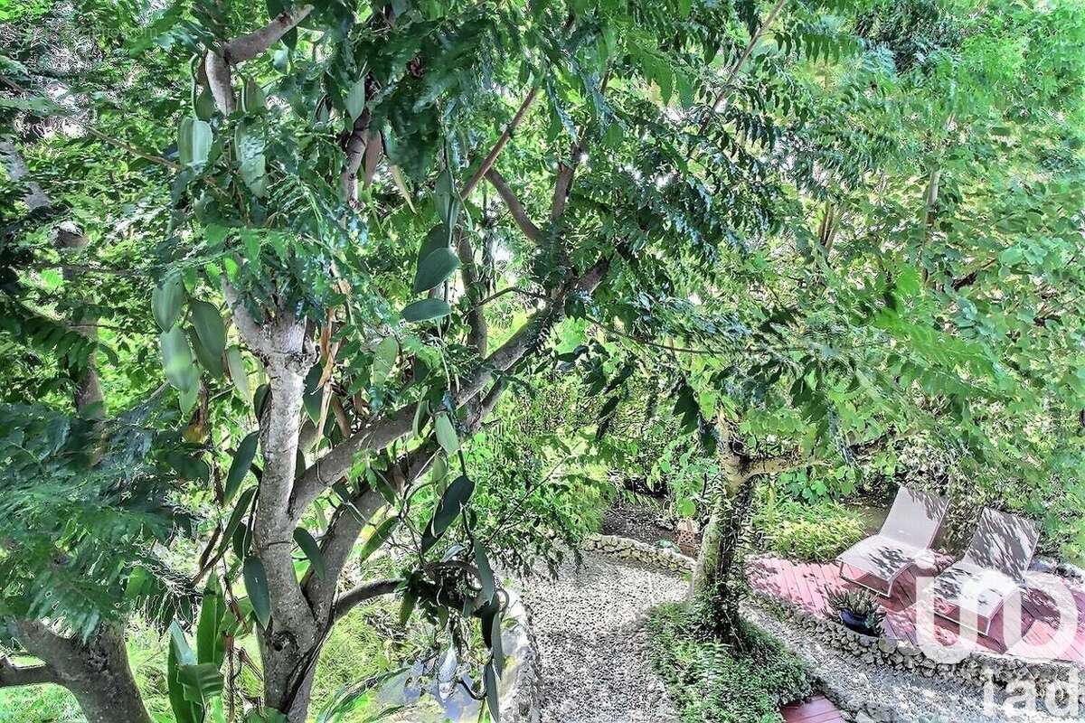 Photo 4 - Maison à SAINTE-ANNE