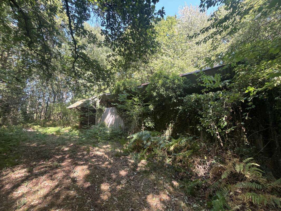 Exceptionnel domaine de loisirs boisé de 13,42 hectares dans le Perche - photo 7