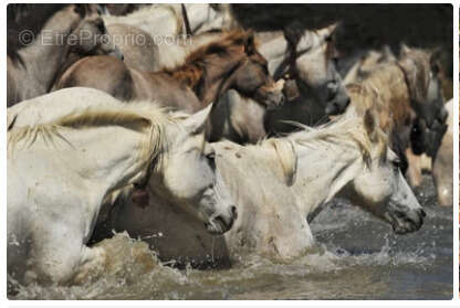 Appartement à SOMMIERES