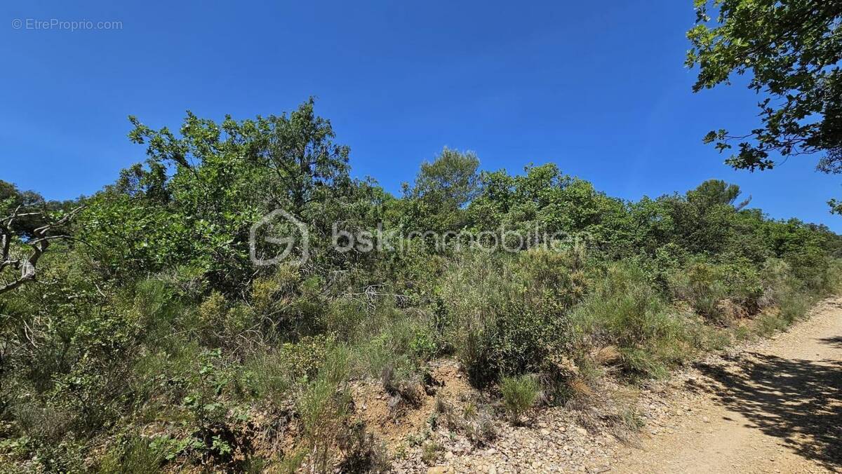Terrain à BRUNET