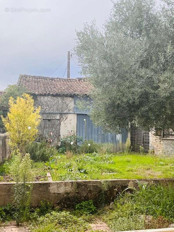 Photo 9 - Maison à TROIS-PALIS