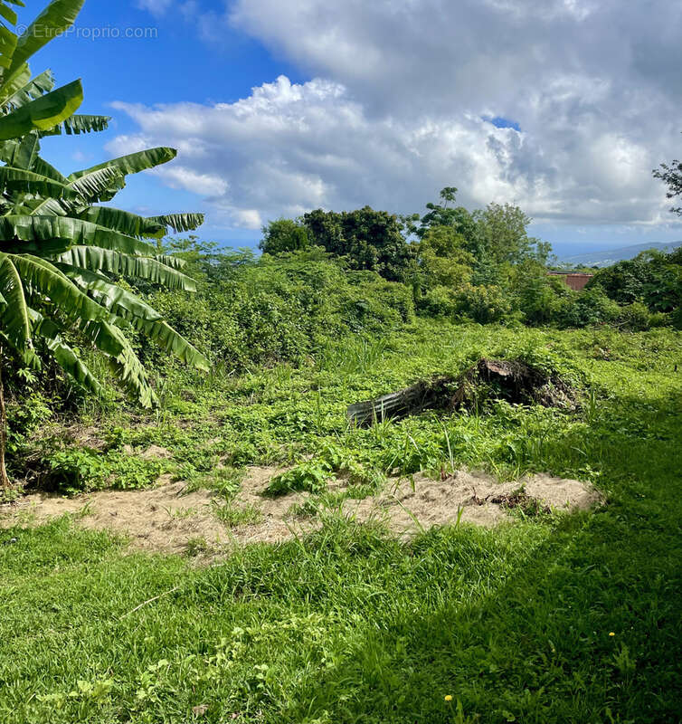 Terrain à SAINT-PAUL