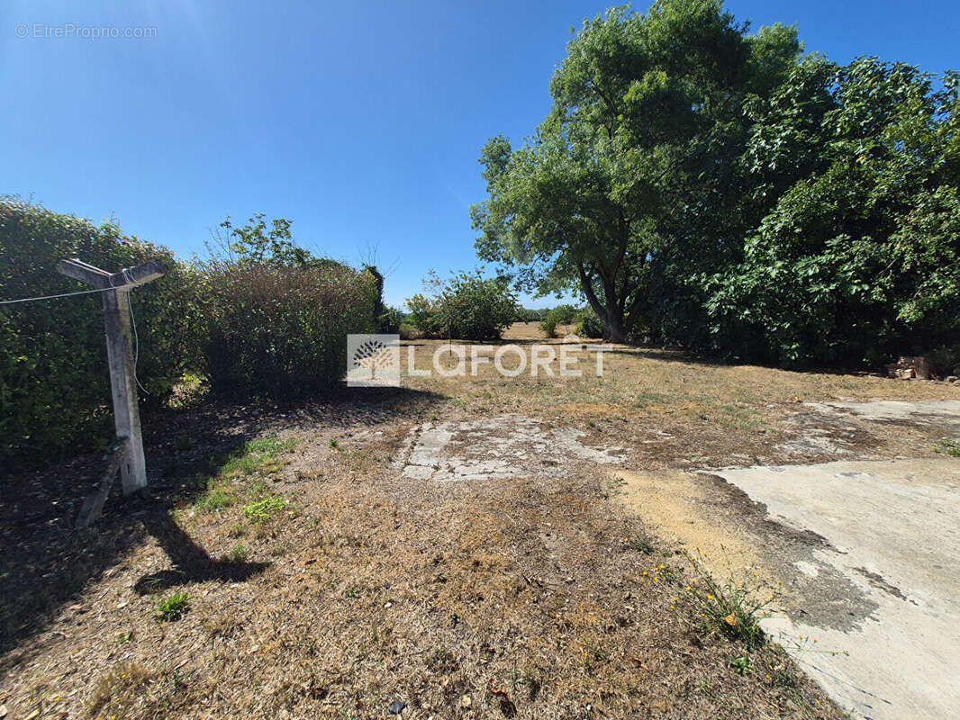 Maison d'habitation avec 2 gîtes au calme et garage. - photo 14