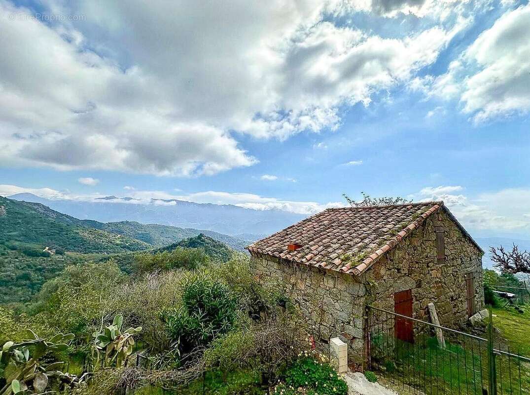 Maison à SARROLA-CARCOPINO