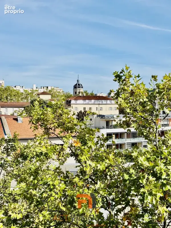 Exceptionnel sur les pentes de la Croix-Rousse T3 71 m2 vue exceptionnelle sur Fourvière - photo 6