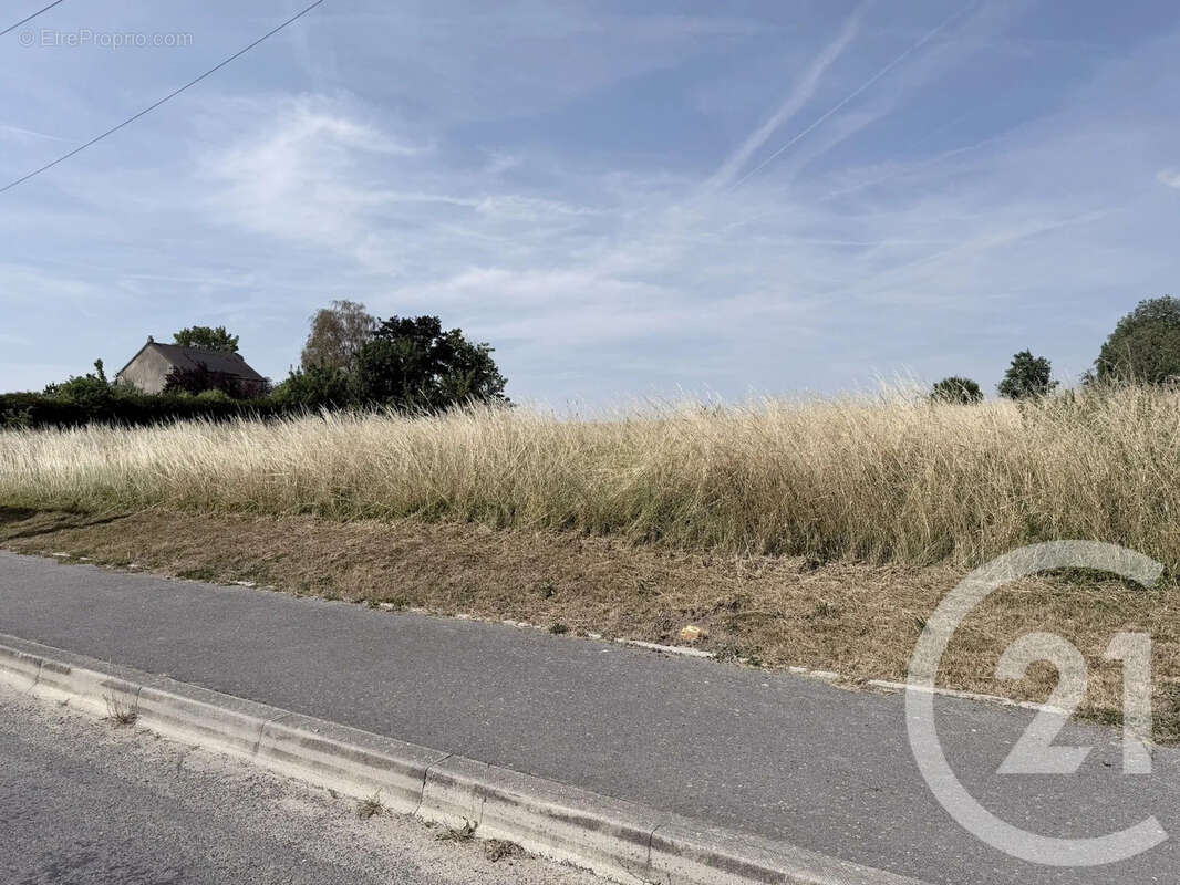 Terrain 947 m² à Nangis  - photo 10
