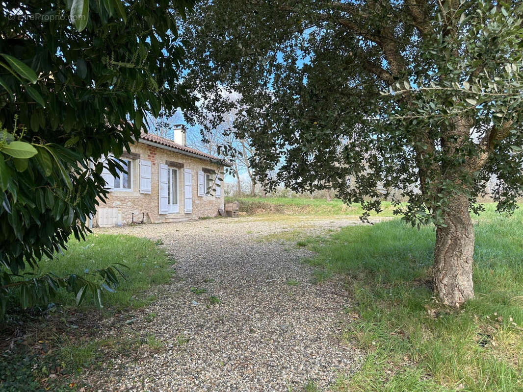 sam des pelerins - Maison à LECTOURE