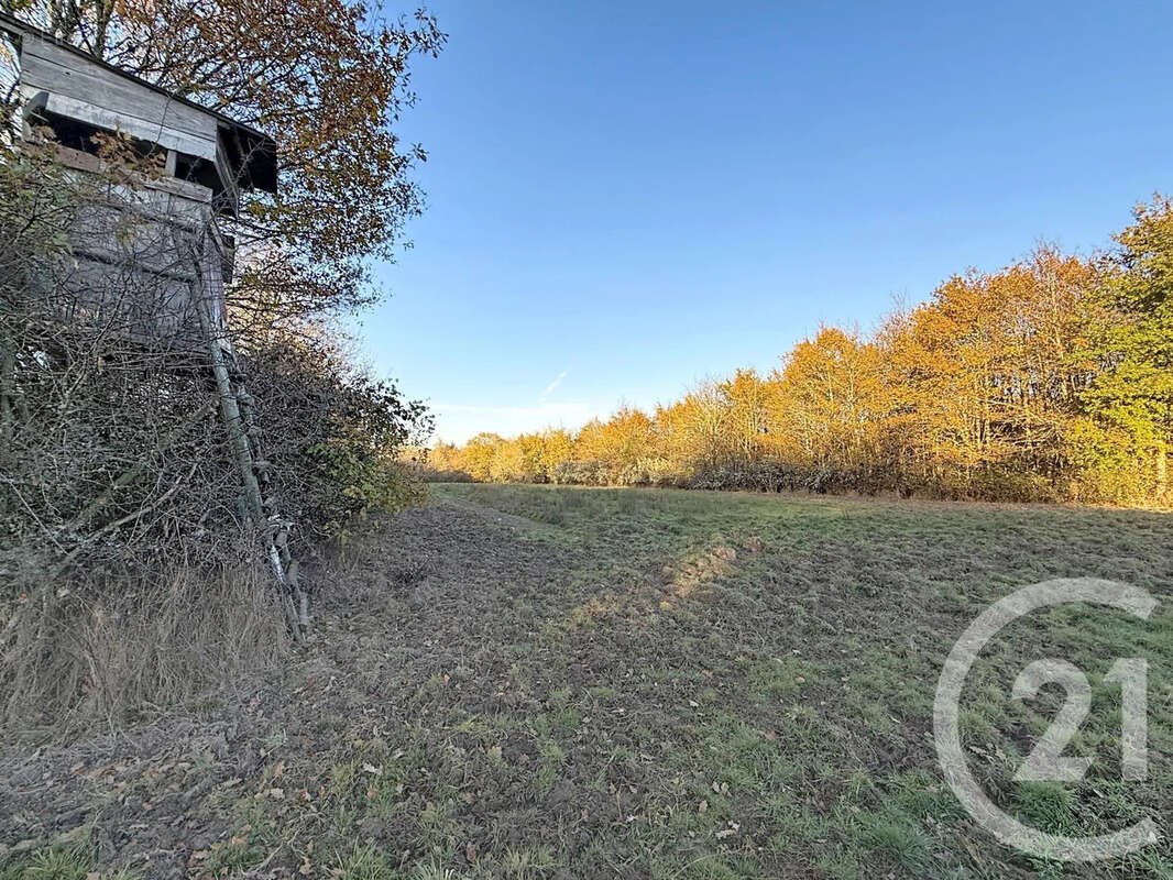Maison à MENESTREAU-EN-VILLETTE