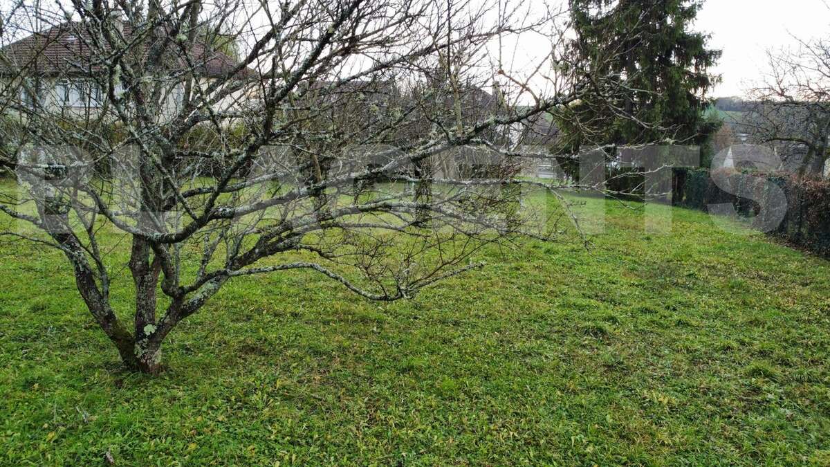 dji_fly_20251201_145852_273_1764597540339_photo_optimized - Terrain à DONNEMARIE-DONTILLY