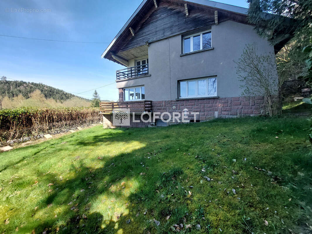 Maison à BOIS-DE-CHAMP