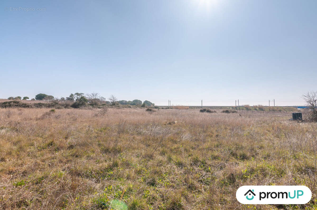 Terrain à LUNEL-VIEL