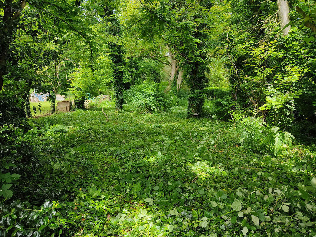 Terrain à DANNEMOIS