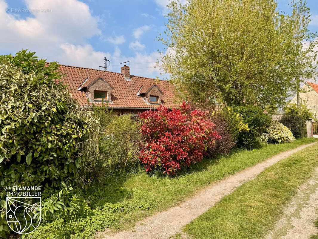 Maison à BAVINCHOVE