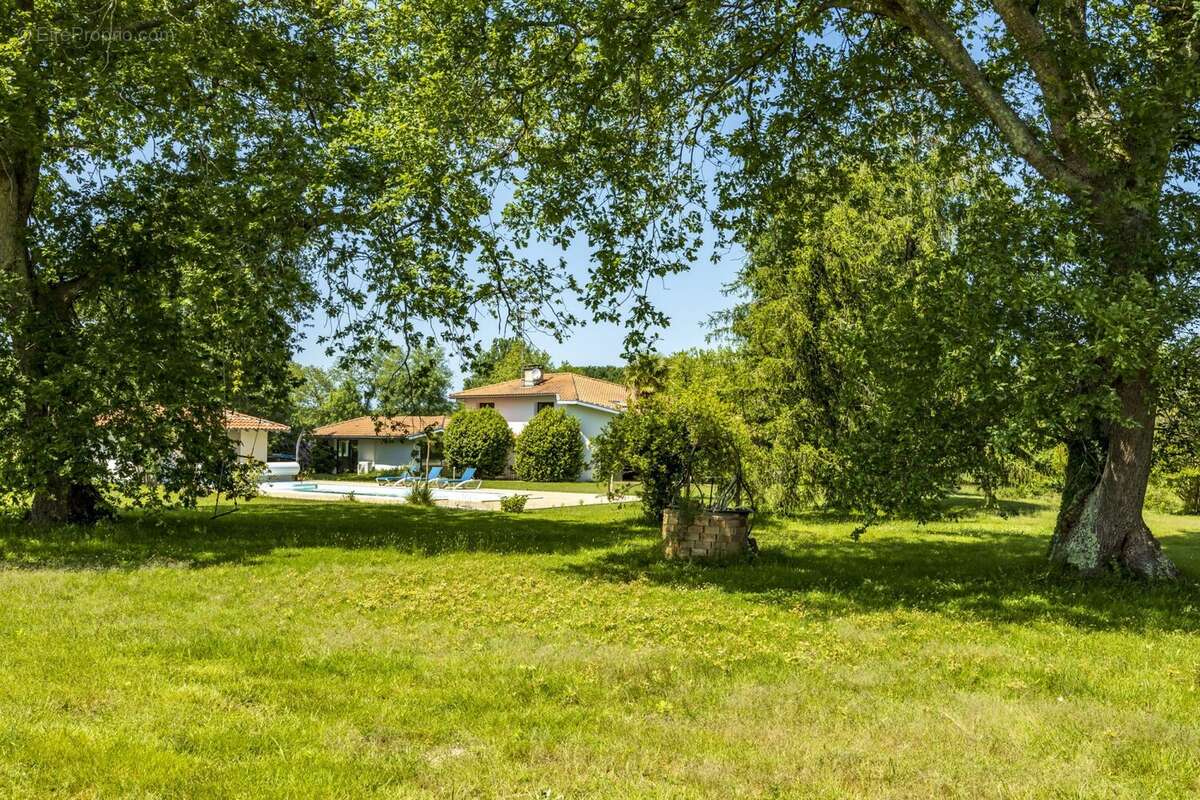 Maison à SAINT-JEAN-DE-MARSACQ