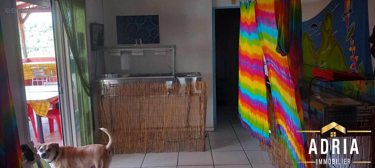 Autre à CAPESTERRE-BELLE-EAU