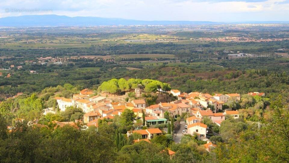 Terrain à MONTESQUIEU-DES-ALBERES