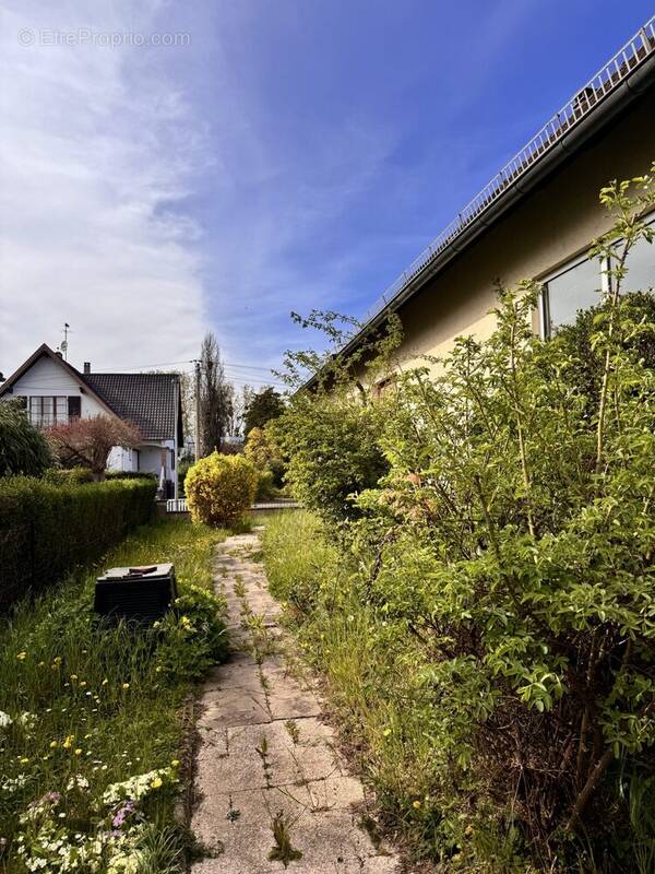 Maison à LINGOLSHEIM