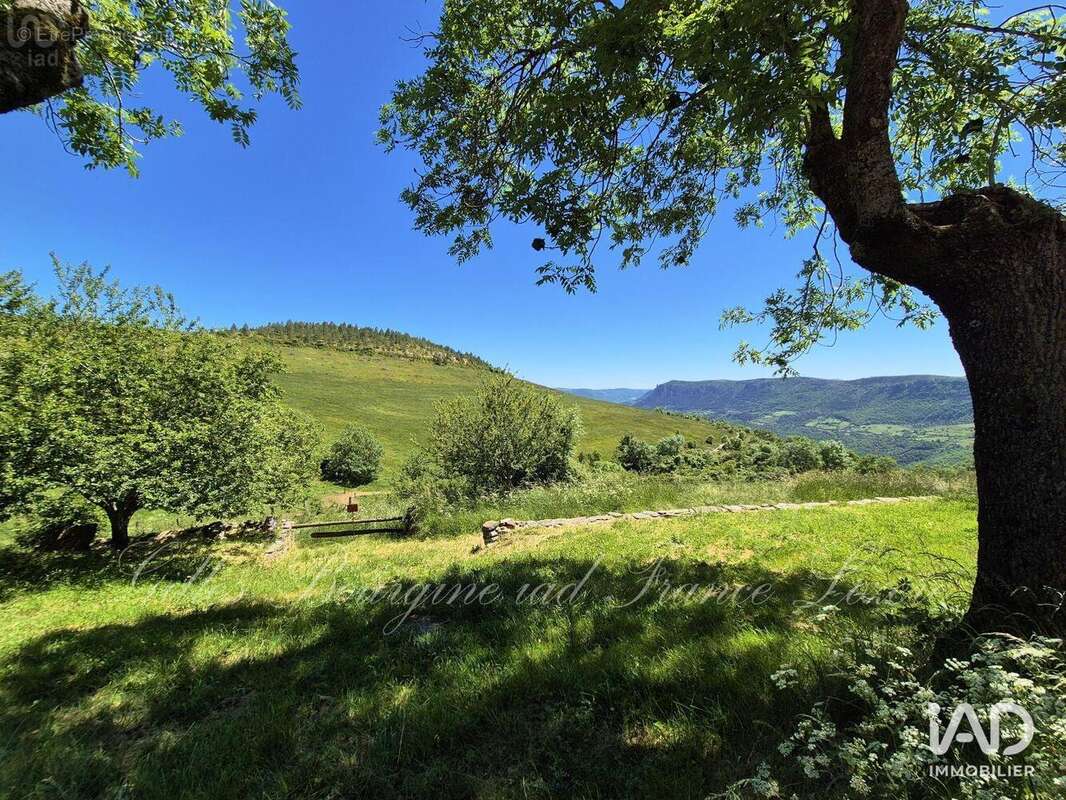 Photo 2 - Maison à BEDOUES