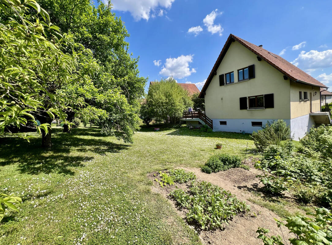 Maison à OBERNAI
