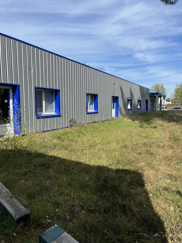 Commerce à SAINT-MARS-LA-BRIERE