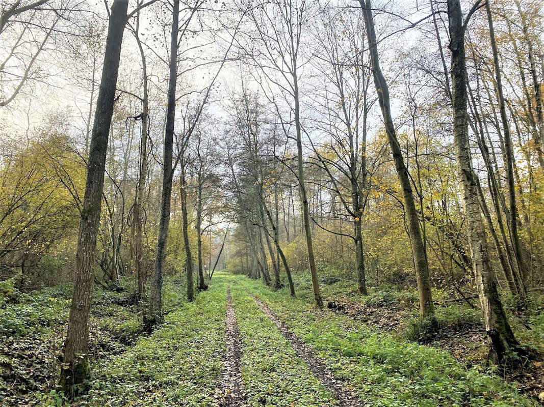 Terrain à LAON