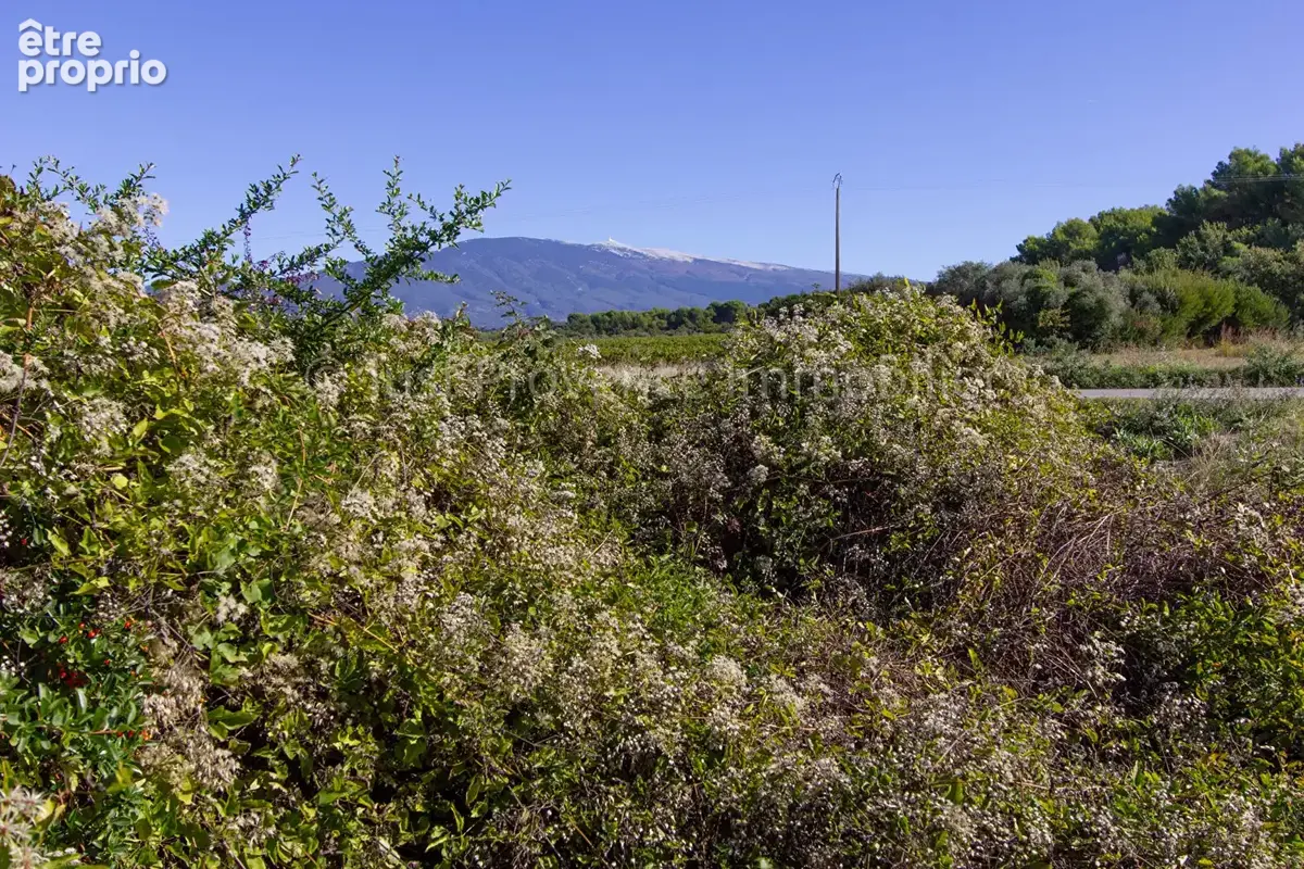 Maison Mazan 4 pièces 90 m2 sur 2626 m² de terrain - photo 17