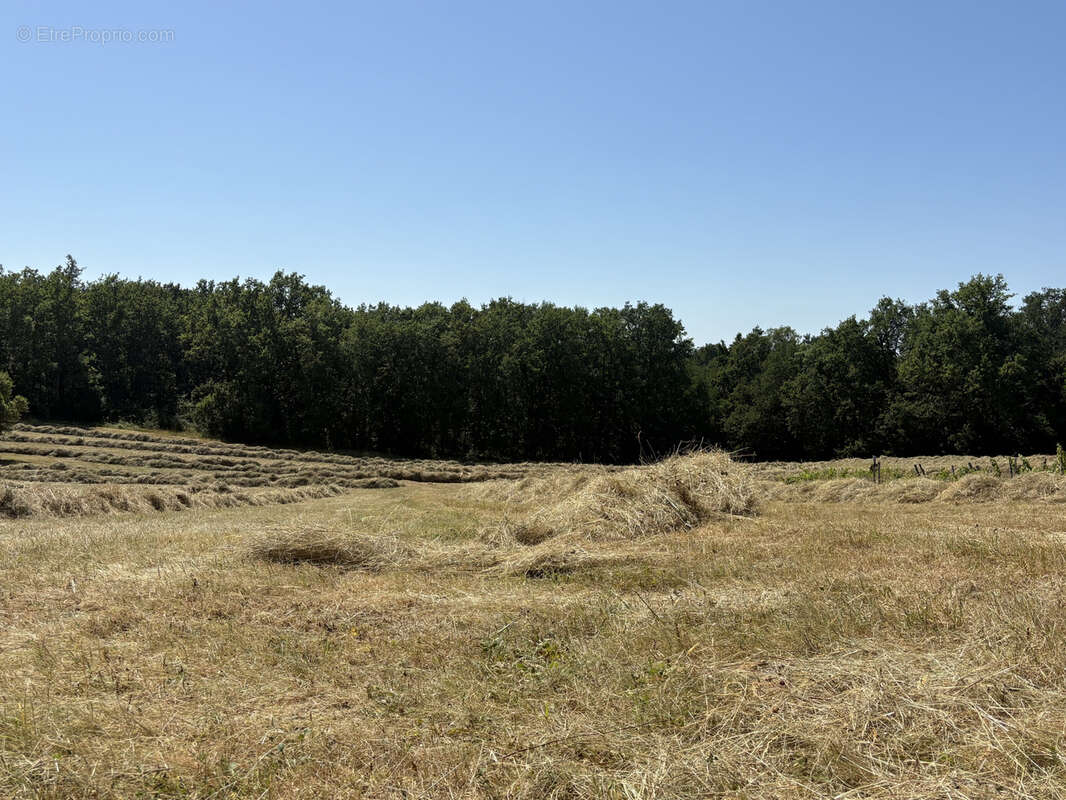 Terrain à LAFRANCAISE