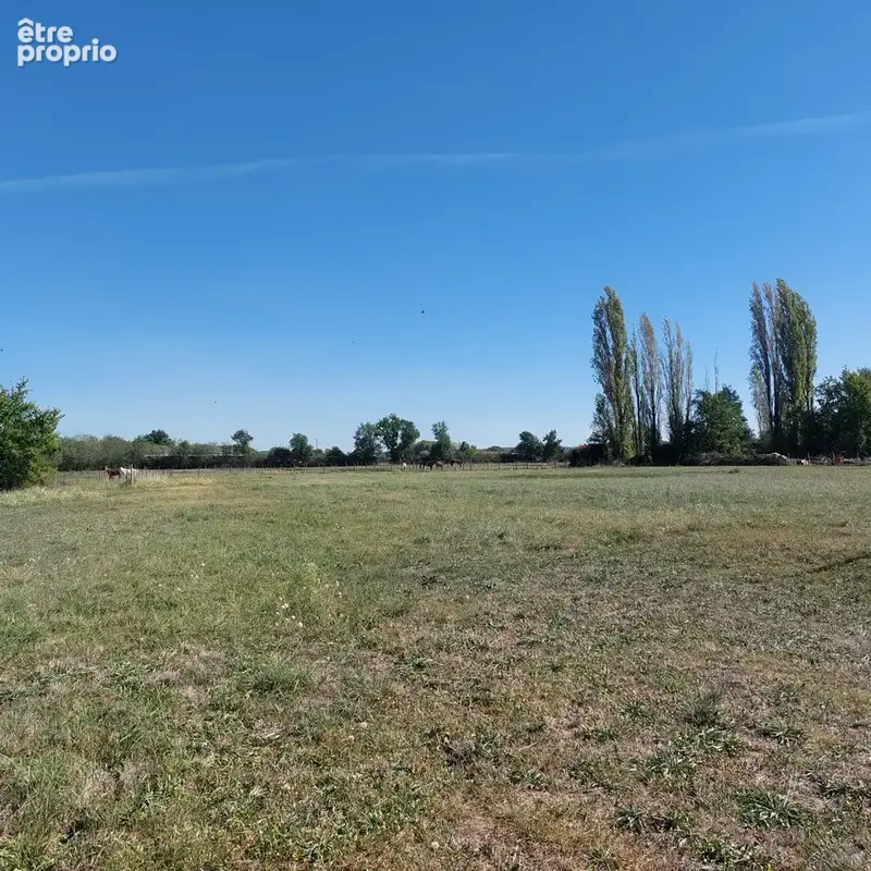 Maison à vendre 5 pièces SAINT ETIENNE DE TULMONT (82) corps de ferme rénové avec dépendance sur environ 20000m² de terrain envi - photo 9